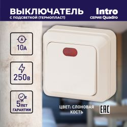 Выключатель Intro Quadro 2-102-02 одноклавишный с подсветкой, 10А-250В, IP20, ОУ, слоновая кость
