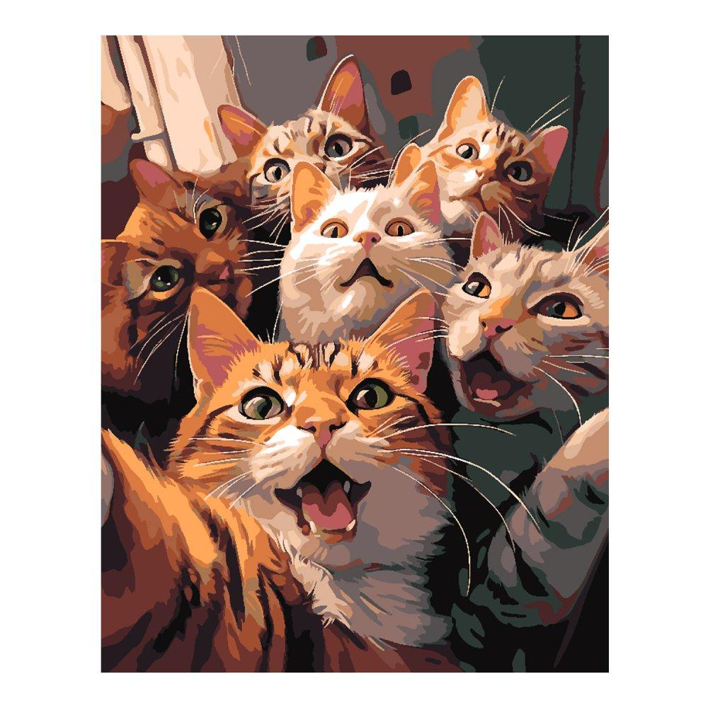 Картина по номерам 40*50см "Котофото" (на подрам.) (Lori)