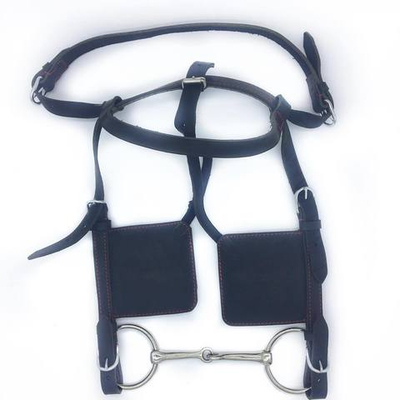 Узда с шорами