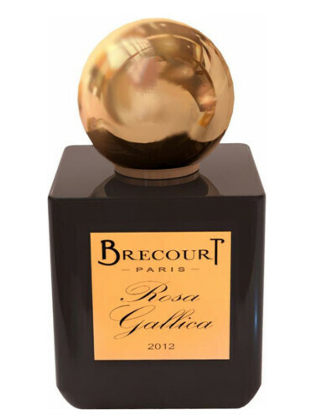 Brecourt Rosa gallica