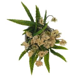 GAEM Цветочная композиция, L9 W9 H18 см, 5в.