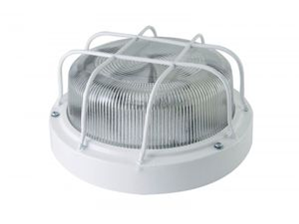 Светильник НПП 03-100-103 металл стекло с решеткой 100Вт IP65 TDM