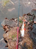 Спиннинг Gamora GMS-702UL 213см 0.5-7гр