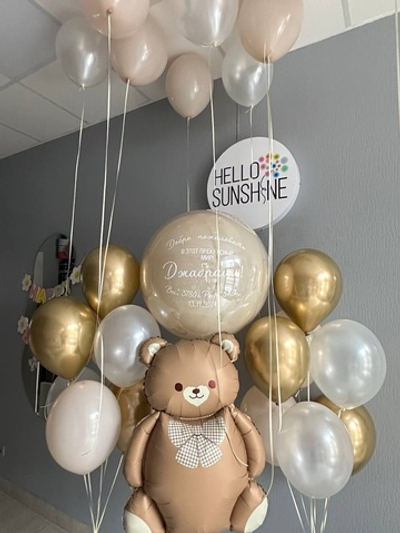 Набор шаров на выписку Мишка №79