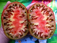 Помидоры Brad’s Black Heart — Чёрное Сердце Бреда