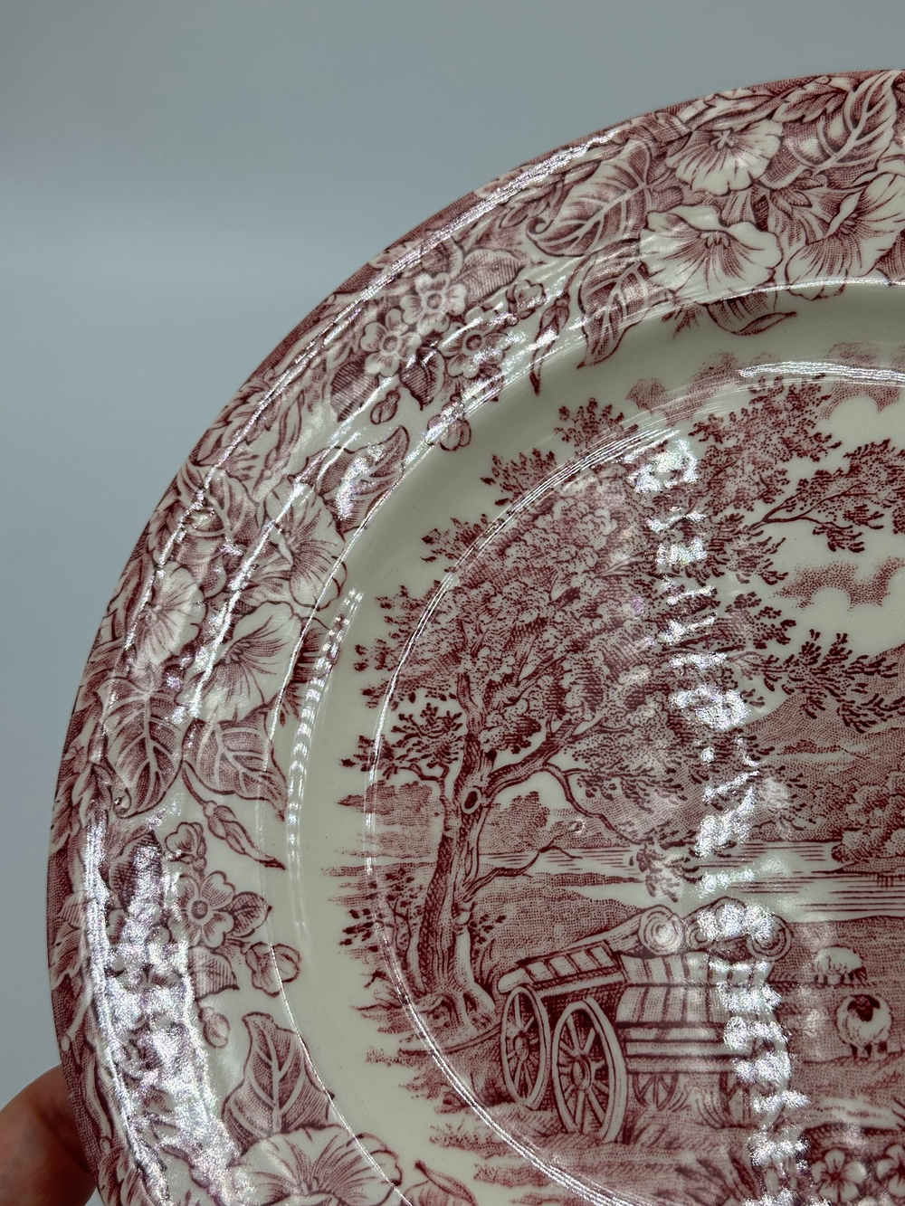 Тарелка 22,5см English Ironstone