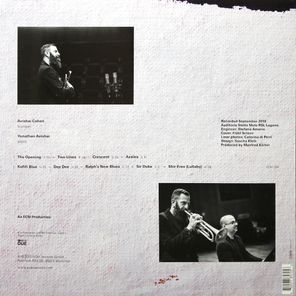 Avishai Cohen, Yonathan Avishai / Playing The Room (LP)
