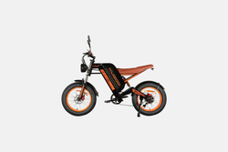 Электровелосипед Kugoo V6 750W 48V 28.6 Ah
