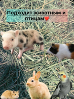 Сено для грызунов 4шт 1400гр