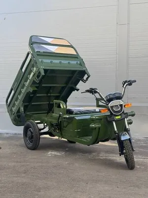 Грузовой электрический трицикл IKINGI CARGO C06 1500W (60V/45Ah) - Зелёный фото №1