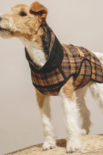 Попона "Пони-Шерлокони"