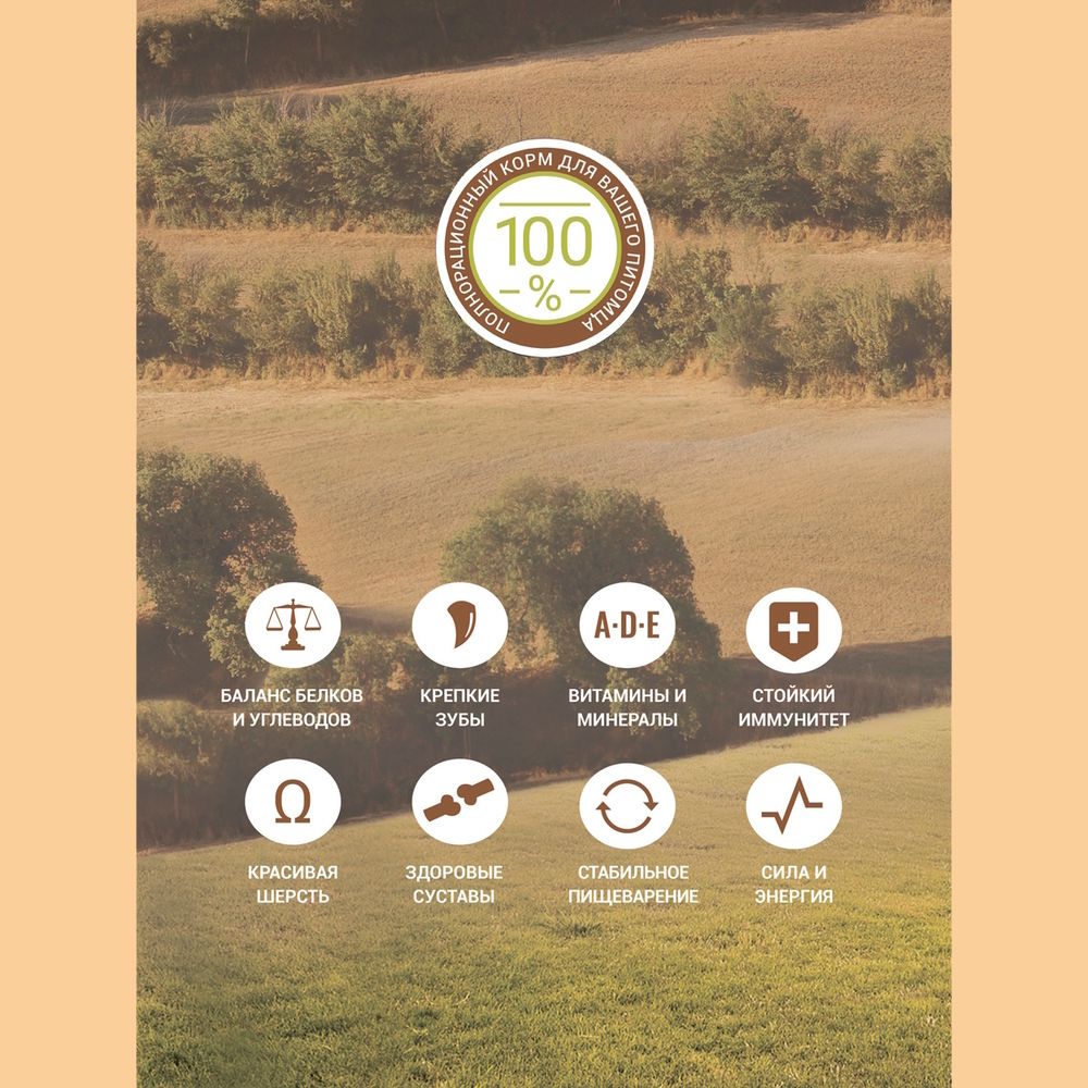 Уценка! Повр.упак. /Сухой корм Glance для взрослых собак всех пород с говядиной и овощами