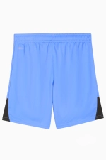 Шорты Puma teamLIGA 26 Junior - голубой