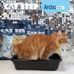 Наполнитель для кошачьего туалета впитывающий, силикагелевый CAT STEP Arctic Blue, 15,2 л