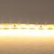 Светодиодная лента Lightstar 12W/m 120LED/m теплый белый 5M 420503