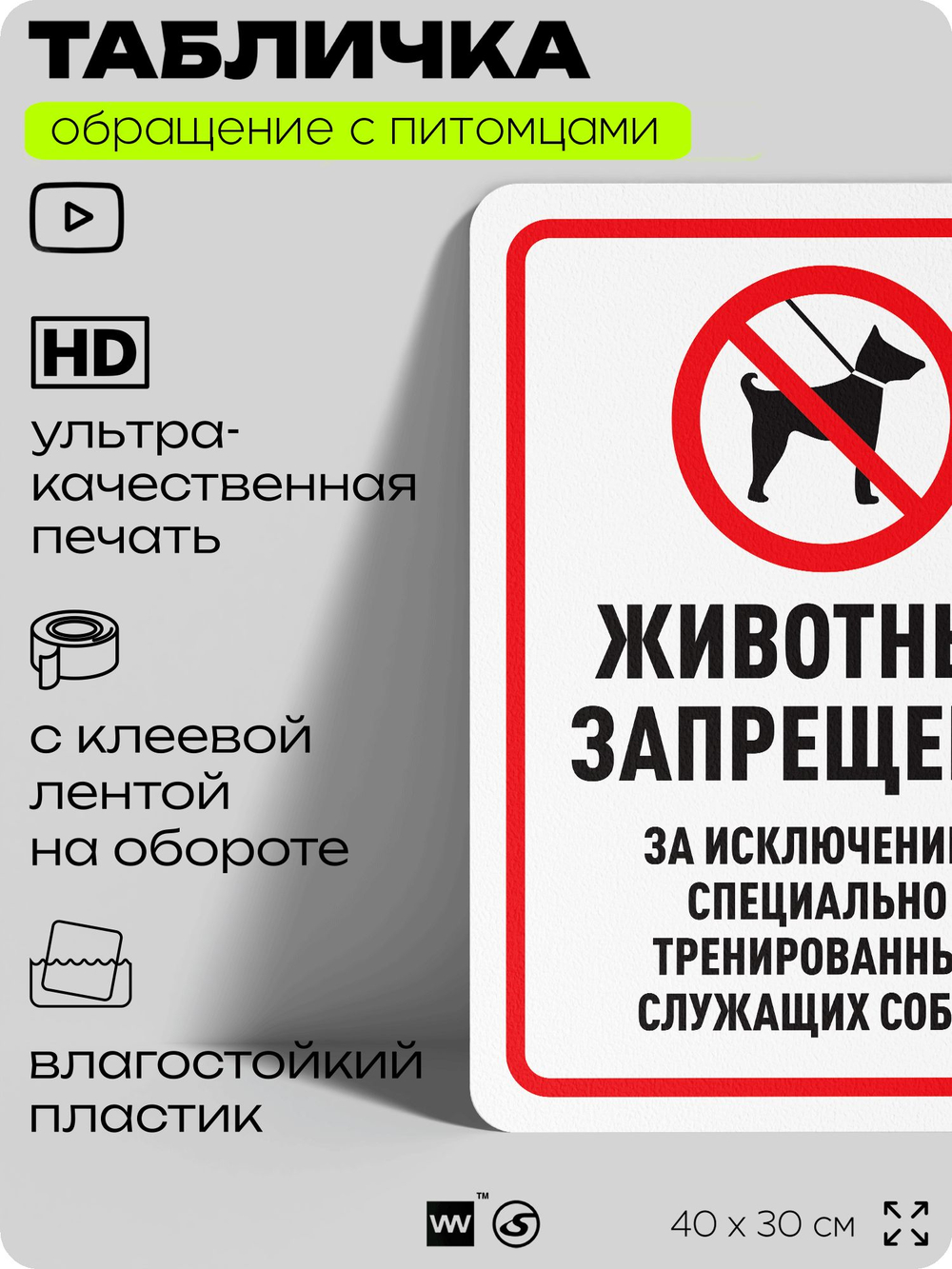 Табличка "Животные запрещены" на дверь и забор, для двора, дома, подъезда, 40х30 см, Silver Plane x Айдентика Технолоджи