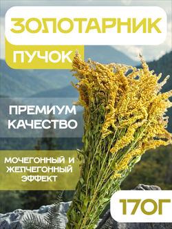 Золотарник трава сушеная, пучок.
