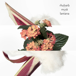 HERMES Colognes Collection Eau de Rhubarbe Écarlate одеколон