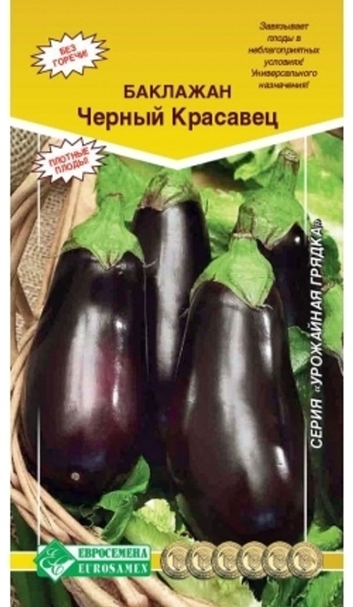 Баклажан Черный красавец