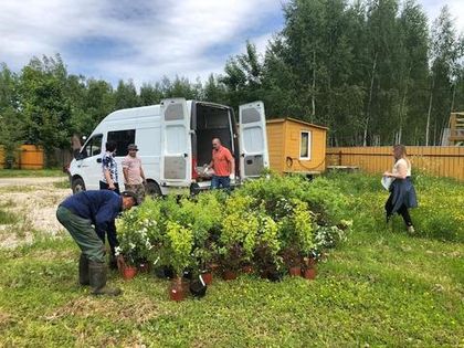 В «Романовский Парк» доставлены растения