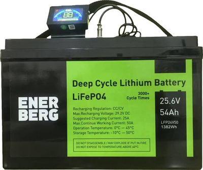 Тяговая аккумуляторная батарея ESB LFP24V50