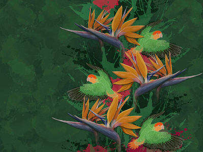 Дизайнерские обои Wall Street Birdly