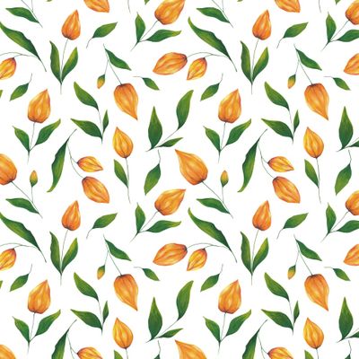 Оранжевые цветы на белом фоне