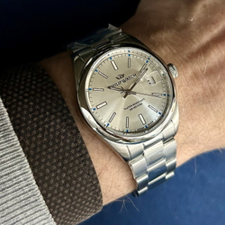 Philip Watch R8253597096