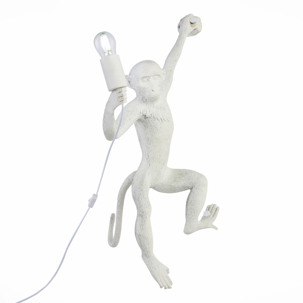 Светильник настенный Evoluce Tenato SLE115111-01