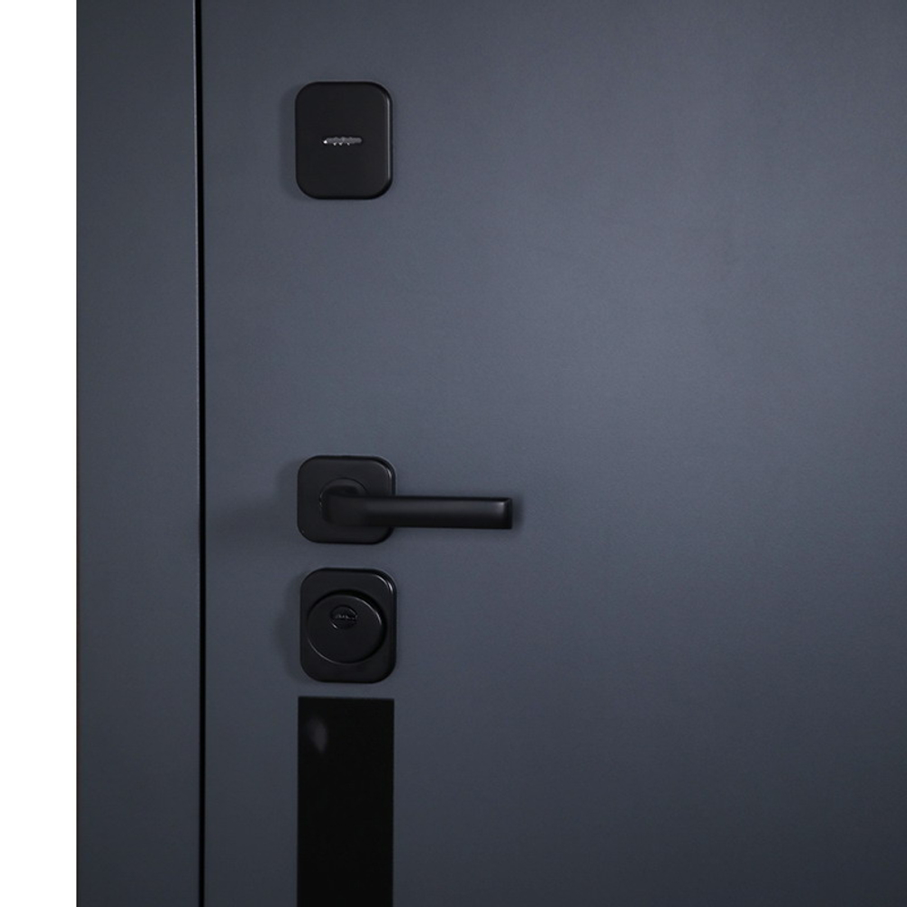 Стальная дверь "Токио". Заказная модель.