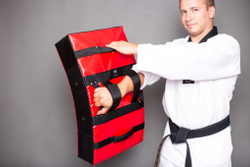 Макивара Body Target Foam Shield силовая вариант хвата