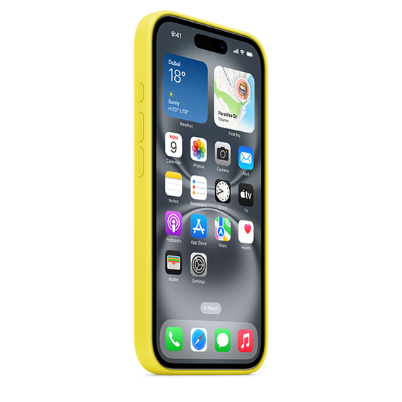 Чехол Apple iPhone 16 Silicone Case with MagSafe Star Fruit MYY73