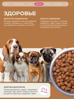 Корм для взрослых собак породы Мопс, с говядиной, 800 гр, QUATTRO