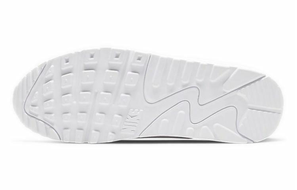 Кроссовки Nike Air Max 90 Paris