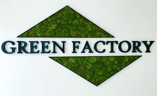 Логотив из стабилизированного мха кочки