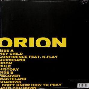 X Ambassadors / Orion (LP)