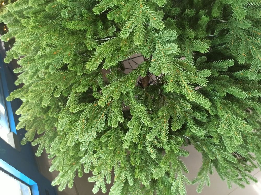 Ель искусственная «Флоренция» (Литая хвоя) от 1,8 м до 2,4 м