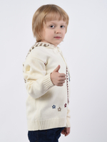 Свитер с капюшоном для мальчика