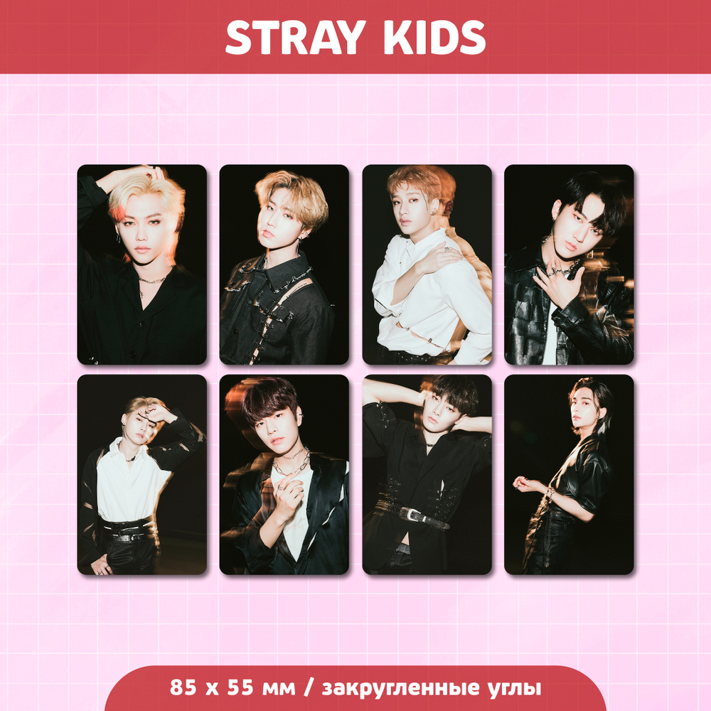 Сет карточек / STRAY KIDS #217