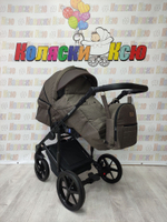 Коляска модульная Adamex Amelia AM244