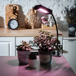 ULT-P31-12W-SPLE-40 IP40 BLACK SINGLE Светильник для растений светодиодный. на прищепке. Спектр для фотосинтеза. TM Uniel