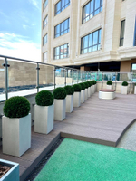 5.23. Искусственные туи в кашпо для ЖК «Development Plaza»