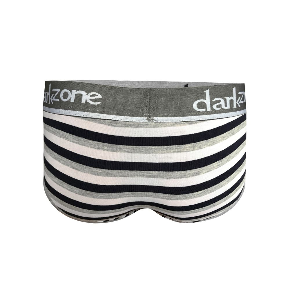 Мужские трусы брифы серые в черно-белую полоску DARKZONE DZN6127