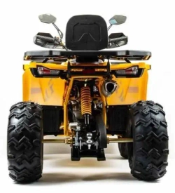 Квадроцикл Motoland 200 WILD TRACK X PRO (баланс. вал)