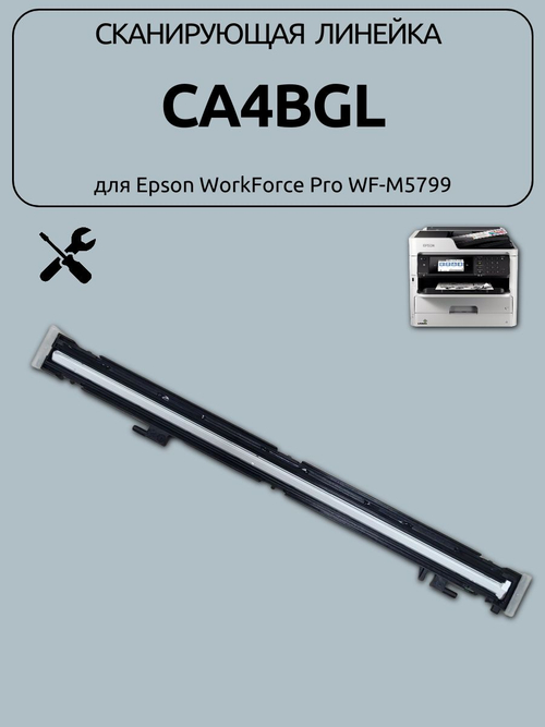 Сканирующая линейка CA4BGL для Epson WorkForce Pro WF-M5799