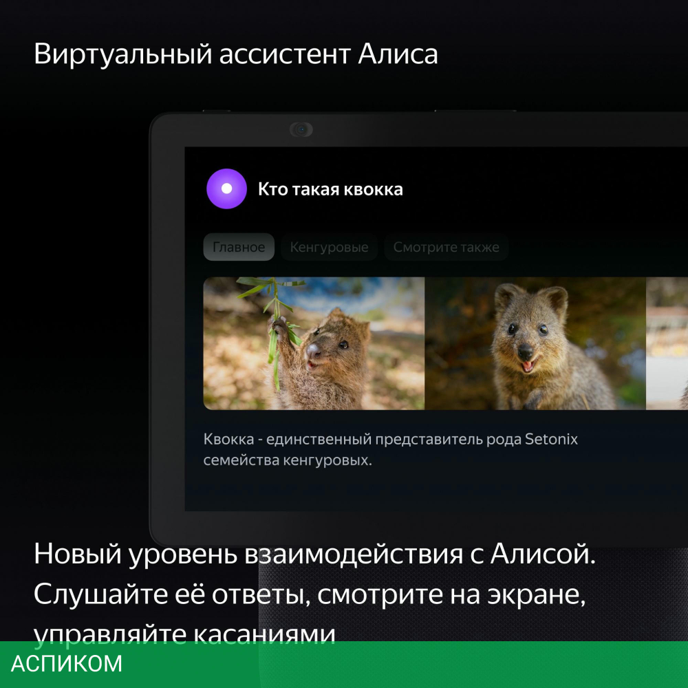 Умная колонка Яндекс Станция Дуо Макс YNDX-00055BLK черный