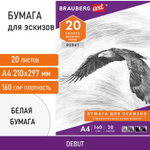Папка для рисования А4 20 л. 160 г/м2 BRAUBERG 210х297 мм "Орел" (10 штук в упаковке)