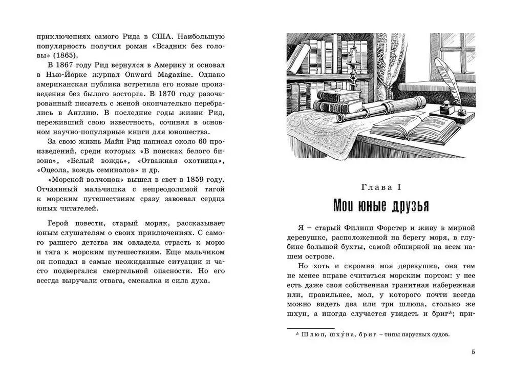Морской волчонок