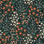 Rifle Paper Co. Second Edition