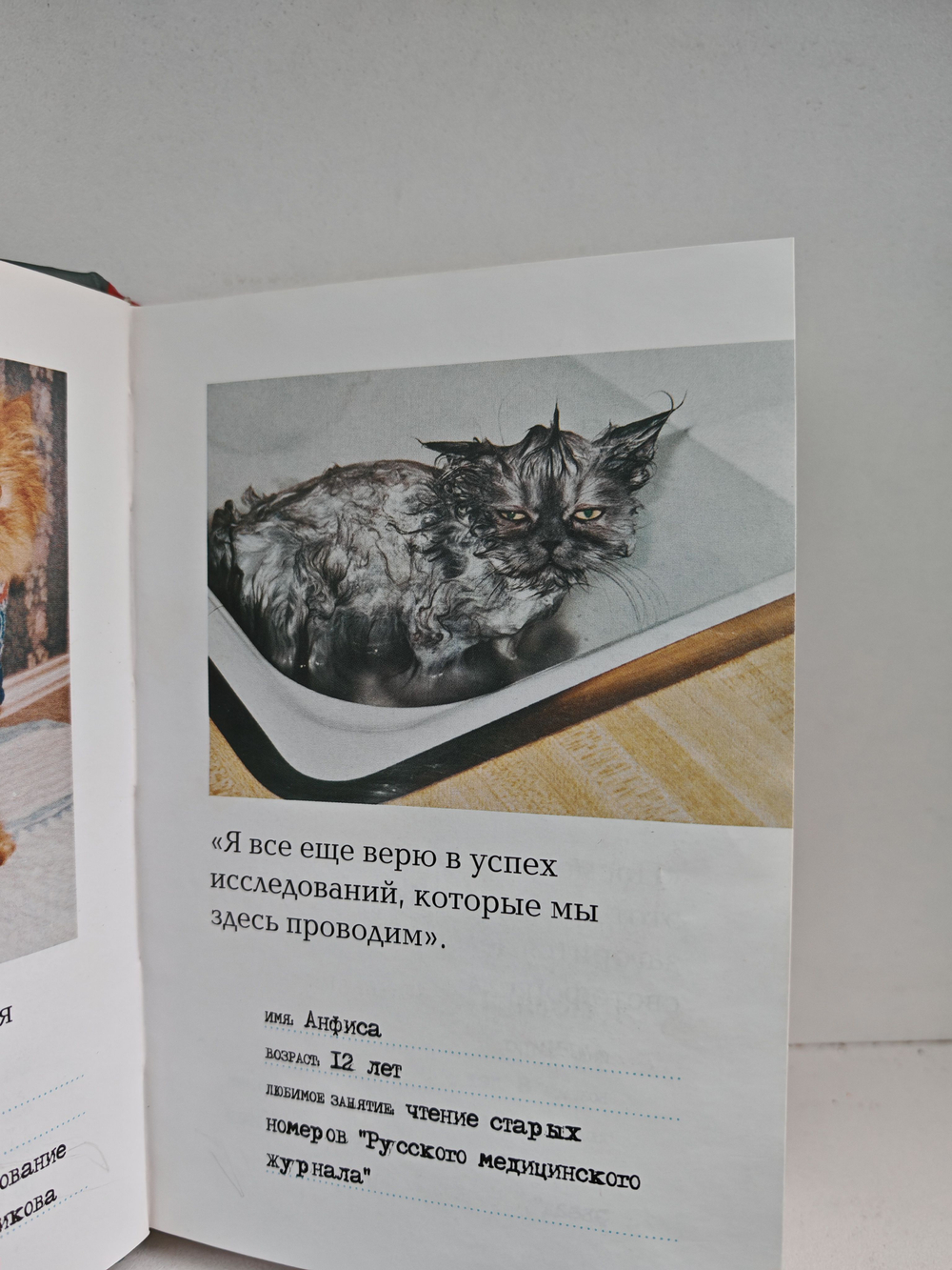 Осторожно, вредная кошка